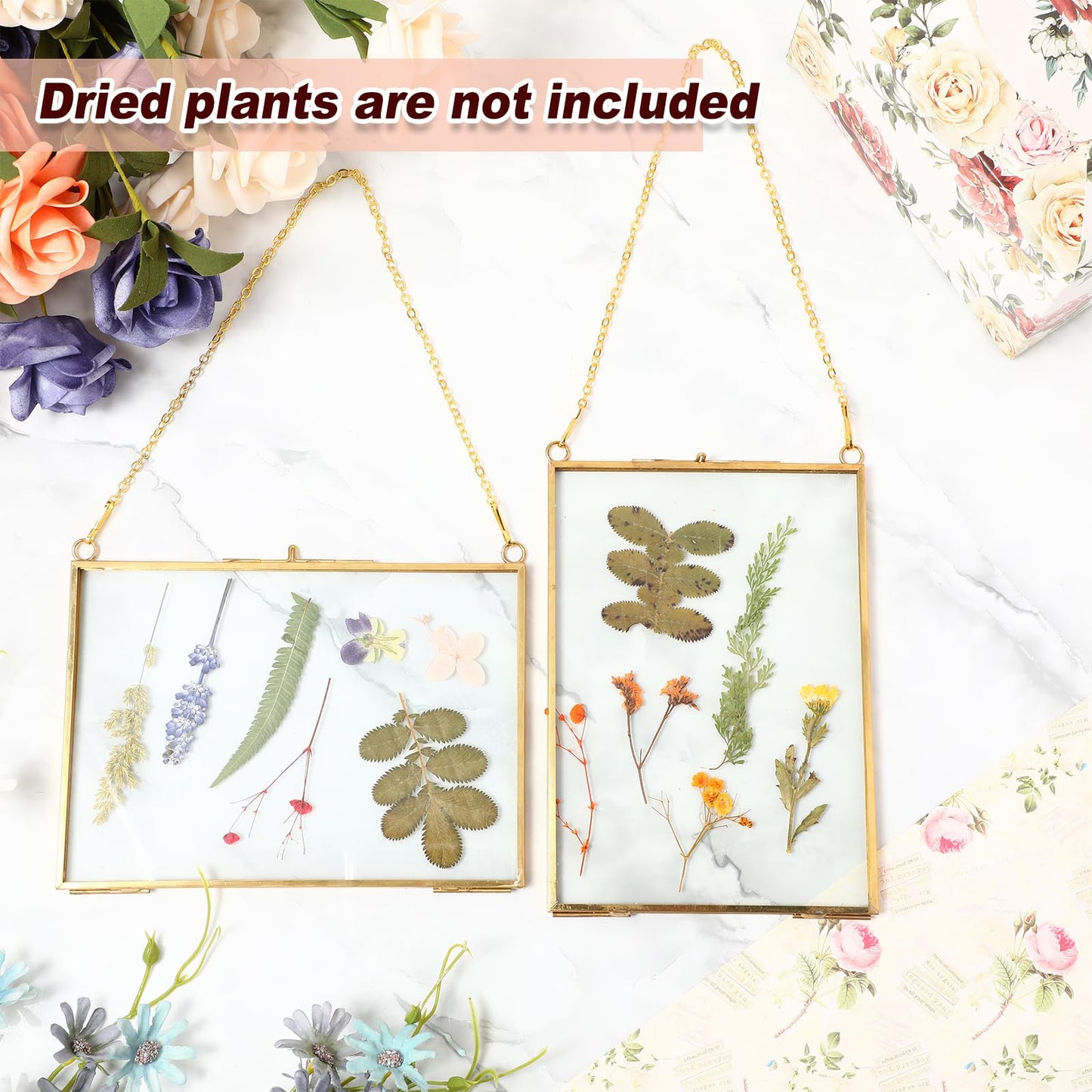 Barydat 12 Pack Pressed Flowers Glass Frames, 5 x 7 Inch Brass Hanging Floating Frame with Chain, Double Glass Photo Display for Dried Flowers, Plant Specimen, Artwork Display (Gold)
