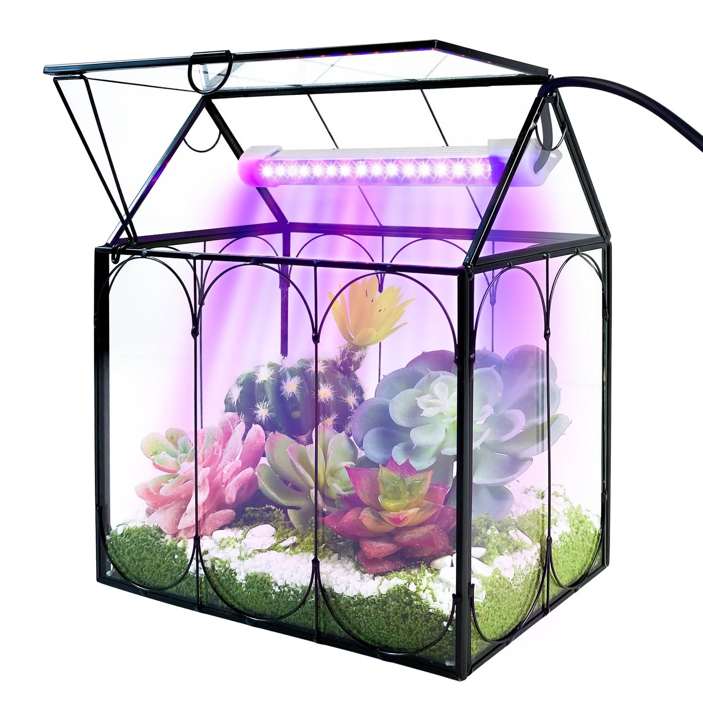 Plant Terrarium Kit with Grow Light, Rifny Small Glass Terrarium Jar with Absorbent Mat and Lid for Venus Fly Trap Succulent Live Air Plants Indoor Home Office Decor (Black, 7.1 x 4.8 x 8.8 inch)