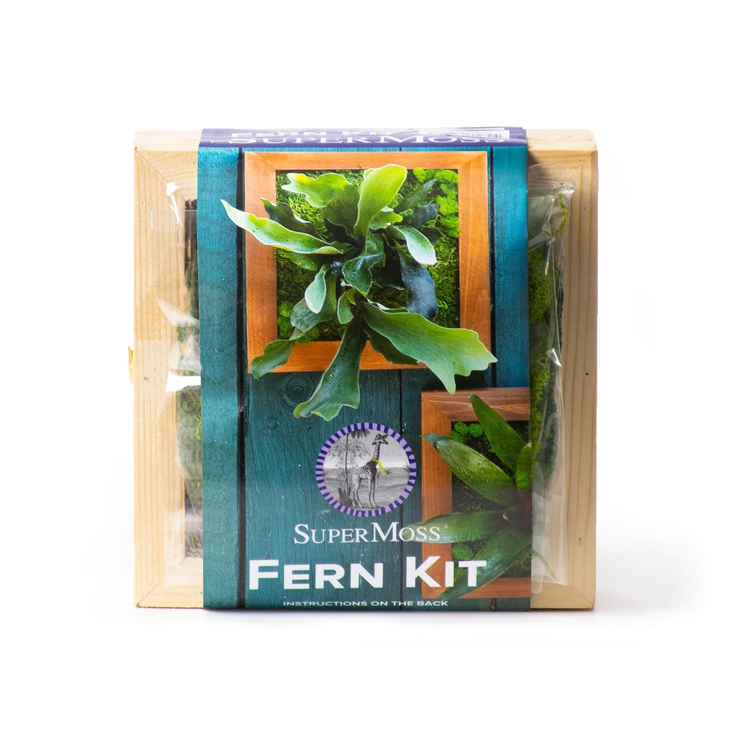 SuperMoss (90471) Mounted Fern Kit DIY - Create Your Own Living Wall Art, Customizable Wooden Frame with Moss, Ideal for Indoor & Outdoor Plant Decor, Kitchen, Balcony, & Home Office, 6” x 6”, Natural