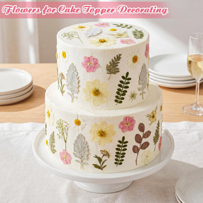 Maasechs 96 Pcs Natural Dried Pressed Flowers for Cake Topper Decorating Cupcake Toppers Cocktails Resin Jewelry Making DIY Art Crafts