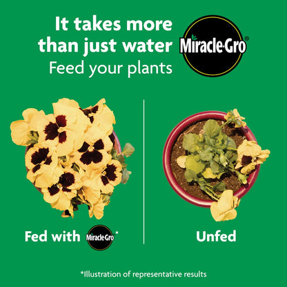 Miracle-Gro Shake 'N Feed All Purpose Plant Food - Nourishes Indoor & Outdoor Plants, 4.5 lbs.
