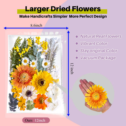 ZQmino A4 Large Dried Pressed Flowers for Resin Real Dry Natural Flowers Leaves for Resin Mold Cake Candle Making Phone Cases Scrapbooking DIY Art Crafts (Yellow+White)