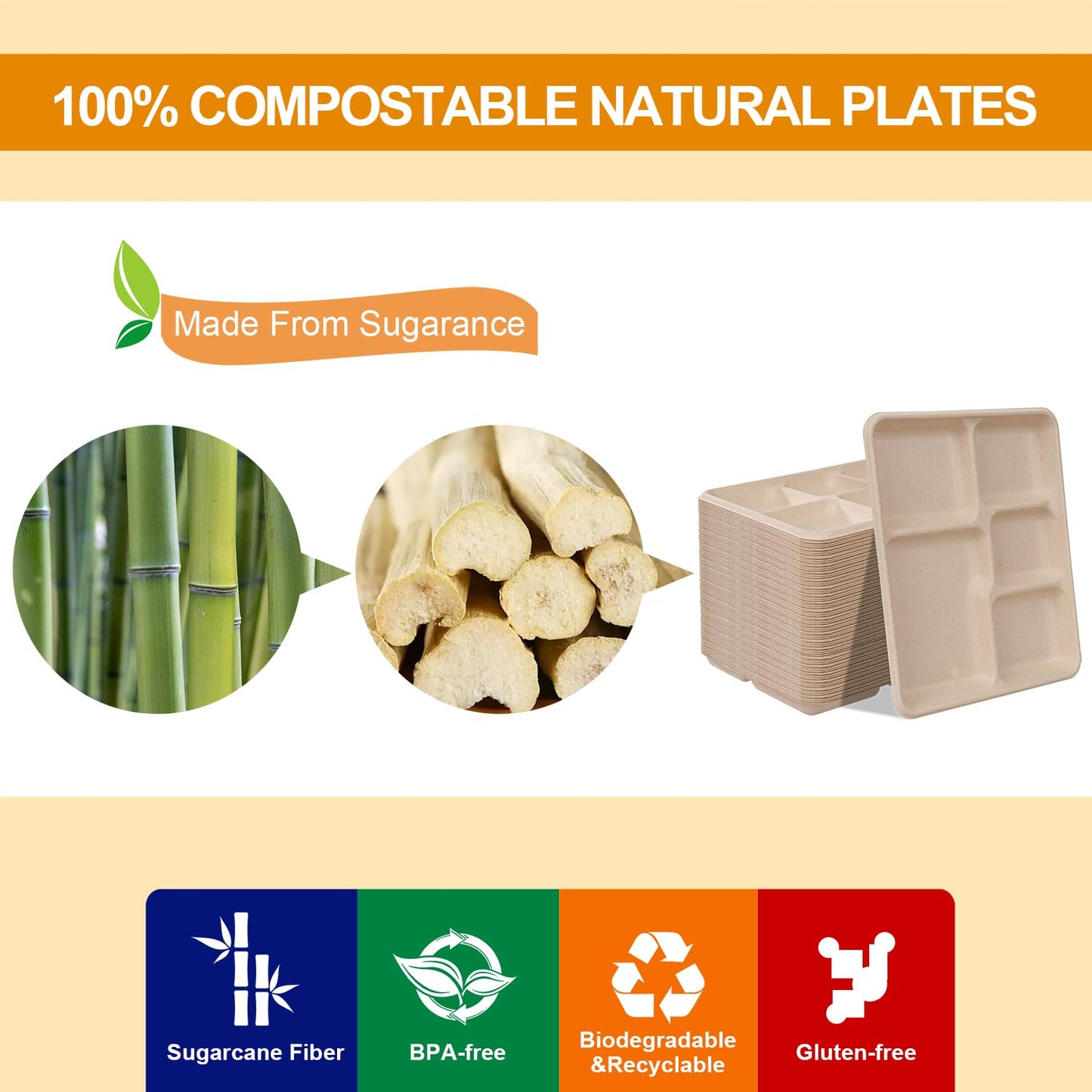 WELLIFE 125 Pack Kids Small 5-Compartment Paper Plates, 10.25x8.25 Inch 100% Compostable Divided Plates, Disposable School Lunch Trays, Eco-Friendly Bagasse Plate for Boys Girls and Youth (BPA Free)