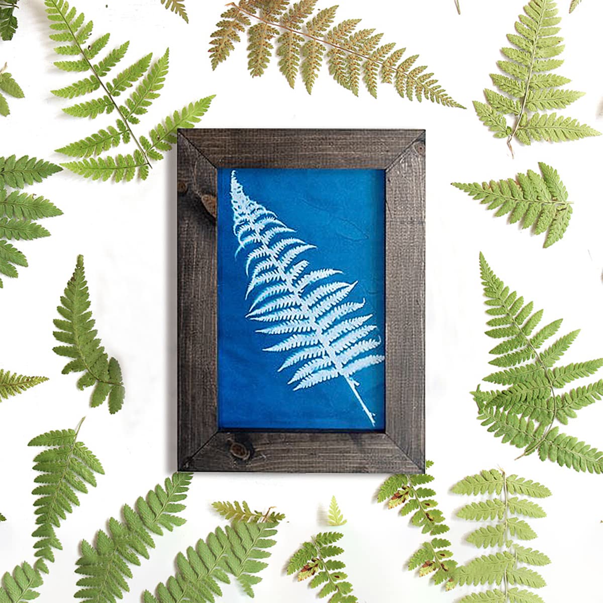 30 Pcs Cyanotype Paper Sun Print Paper Kit High Sensitivity Nature Drawing Printing Sunprint Sun/Solar Activated A5 Paper for Flower Press DIY Arts Crafts Projects