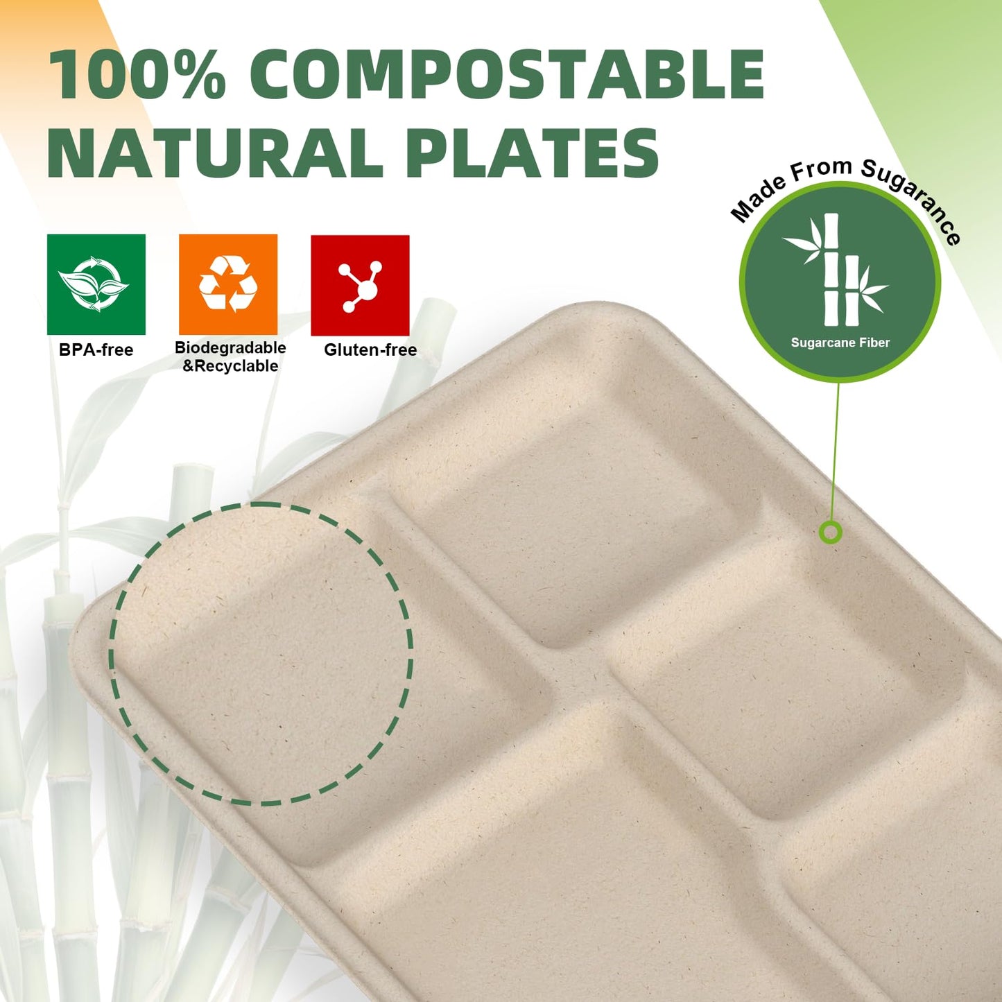 WELLIFE 125 Pack Kids Small 5-Compartment Paper Plates, 10.25x8.25 Inch 100% Compostable Divided Plates, Disposable School Lunch Trays, Eco-Friendly Bagasse Plate for Boys Girls and Youth (BPA Free)