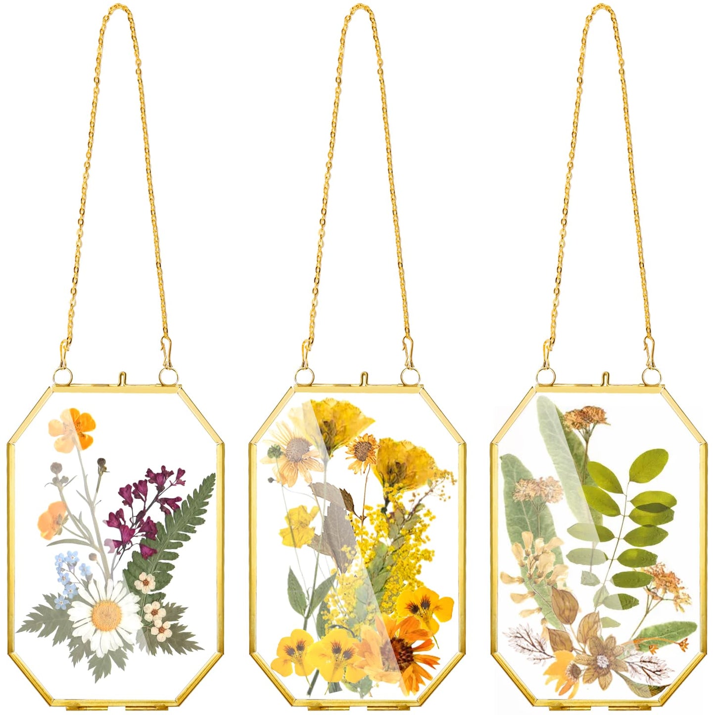 AVLA 3 Pack Pressed Flowers Glass Frames, Small Brass Floating Frame with Chain, Golden Hanging Picture Frame, Clear DIY Handmade Home Wall Decor for Displaying Artwork Dried Plant Specimen