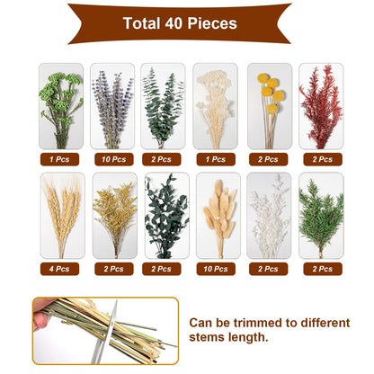 Natural 12 Kinds Dried Flowers Set, 16" Floral Arrangements with Eucalyptus, Bunny Tails, Wheat, Lavender, Rustic Boho Wedding, Home Centerpiece Decorations, Handmade for DIY Crafts, Fall Table Décor