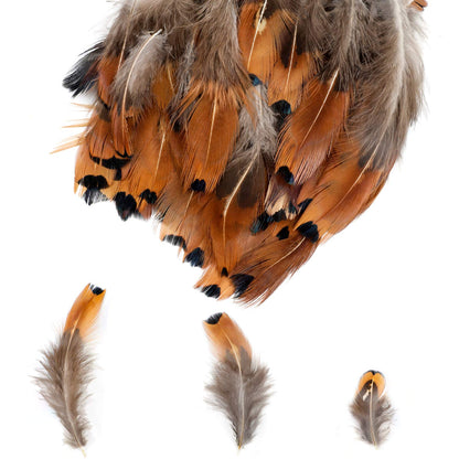 MWOOT 300PCS Spotted Chicken Feathers Natural Pheasant Plumage Feathers for DIY Crafts, Clothing, Jewelry, Wedding, Birthday Party, Dream Catcher Decoration