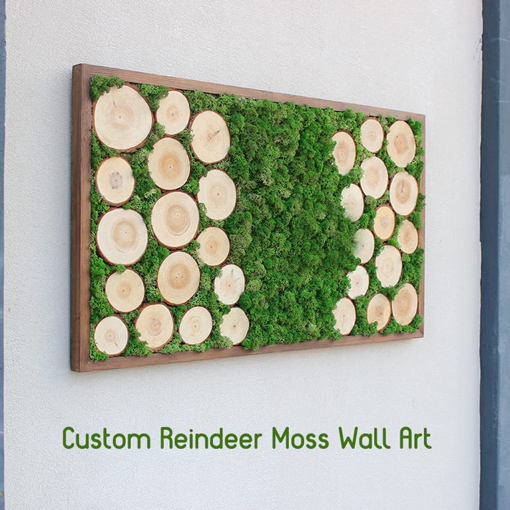 Prefleur Preserved Reindeer Moss Natural Green DIY Kit Terrariums Gardenning Art Wall Decor Florist Decor Easter Table Decor Wedding Decor (0.85lb) (Green-04)