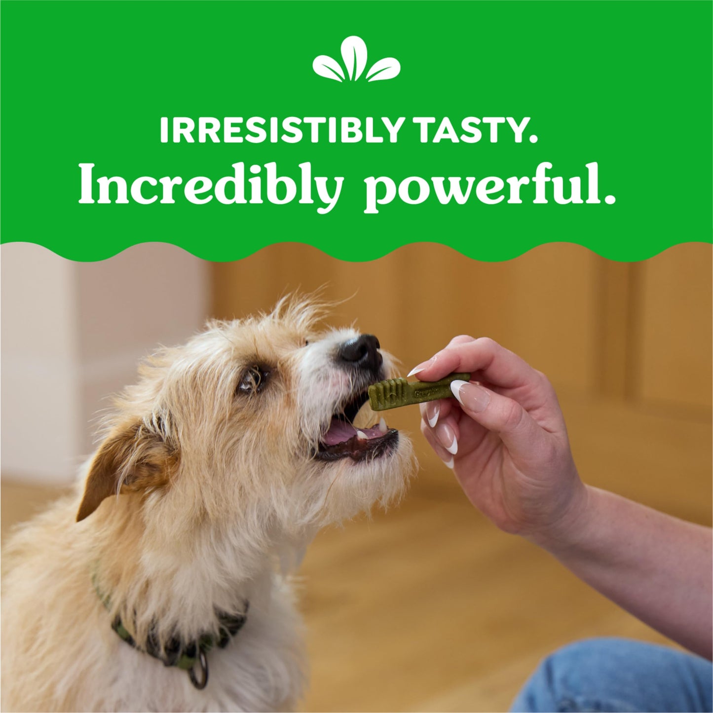 Greenies Original Teenie Dental Dog Treats, 36 oz. Pack (130 Treats)