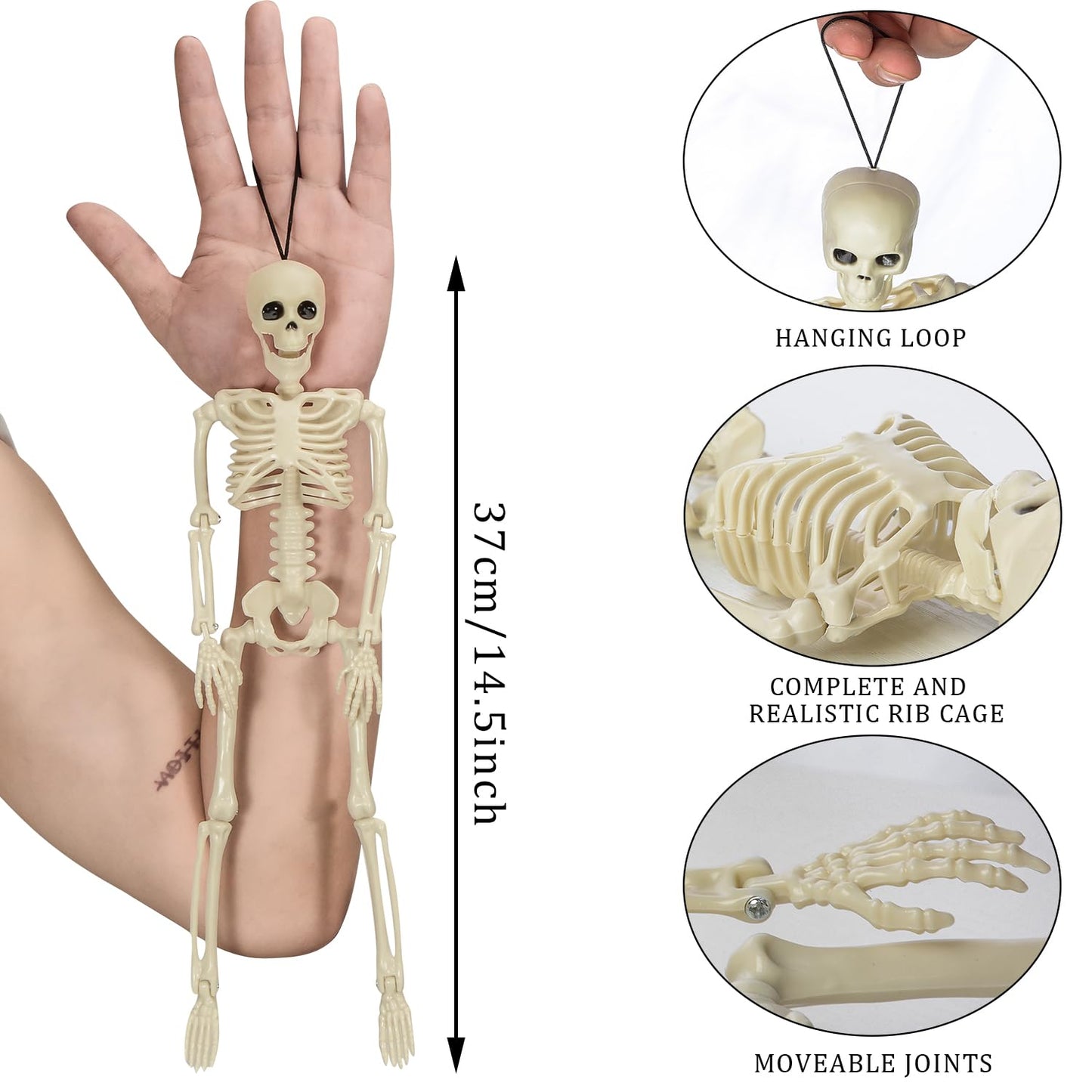 XONOR 16” Posable Halloween Skeleton- Full Body Halloween Skeleton with Movable Joints for Haunted House Props Decorations (6pcs)