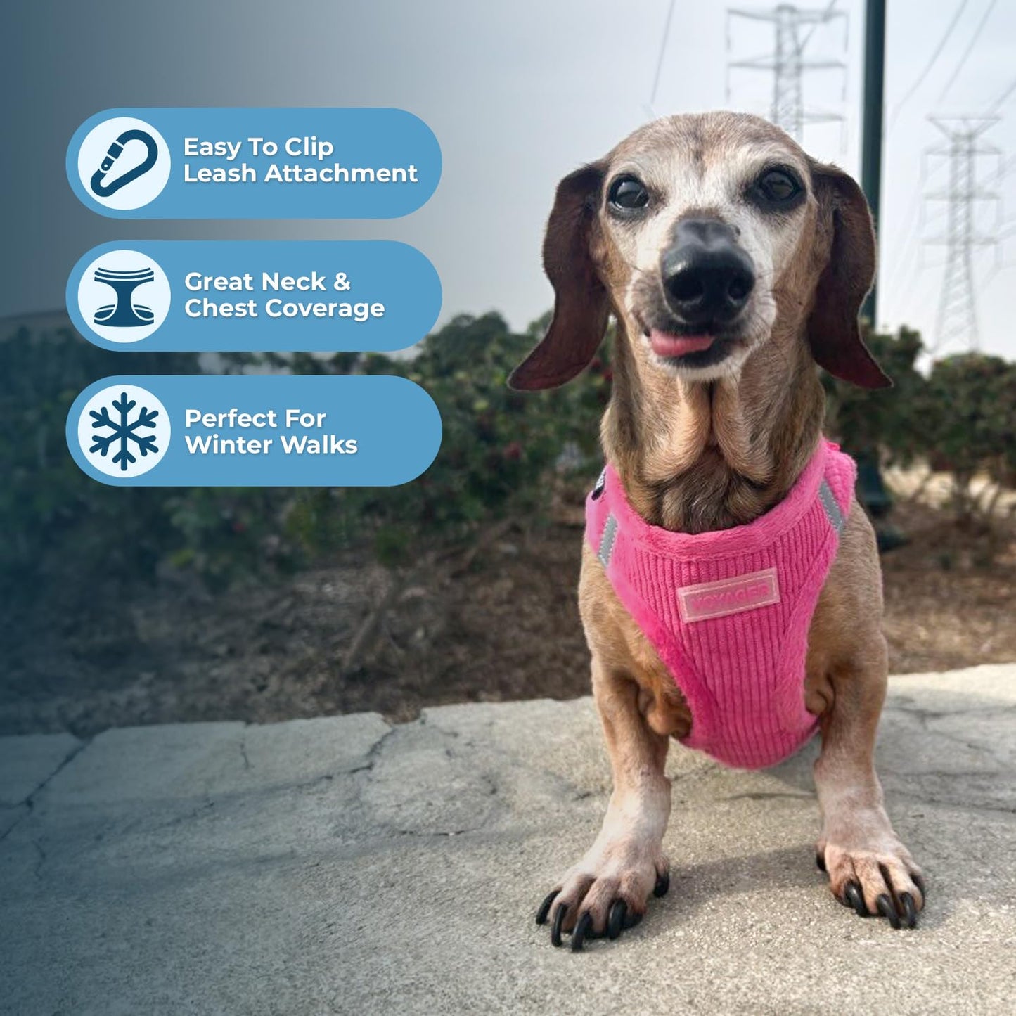 Voyager Step-in Plush Dog Harness – Soft Plush, Step in Vest Harness and Reflective Dog 5 ft Leash Combo with Neoprene Handle for Small and Medium Dogs by Best Pet Supplies -Set (Fuchsia Corduroy), S