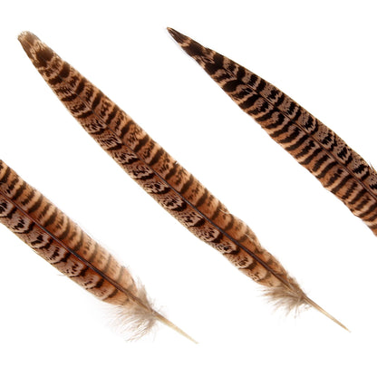 20pcs Female Pheasant Feather Natural Ringneck Tails Feathers 12-14inch 30-35cm for Crafts Home Wedding Party Performance DIY Decoration Pheasant Feather,Female Pheasant Feathers