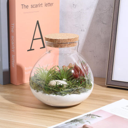 Cabilock Glass Terrarium Jar with Cork Lid, Ecological Bottle Micro Landscaping Bottle Storage Container Home Office Decor for Succulents Ferns and Decorative Plants