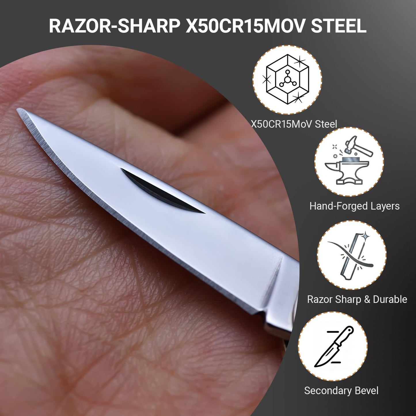 JPCRMOV Mini Folding Pocket Knife, Abalone Shell Handle, Keychain EDC Tool, 1.06” Blade, Ultra Lightweight 9g, Small Box Opener for Daily Carry