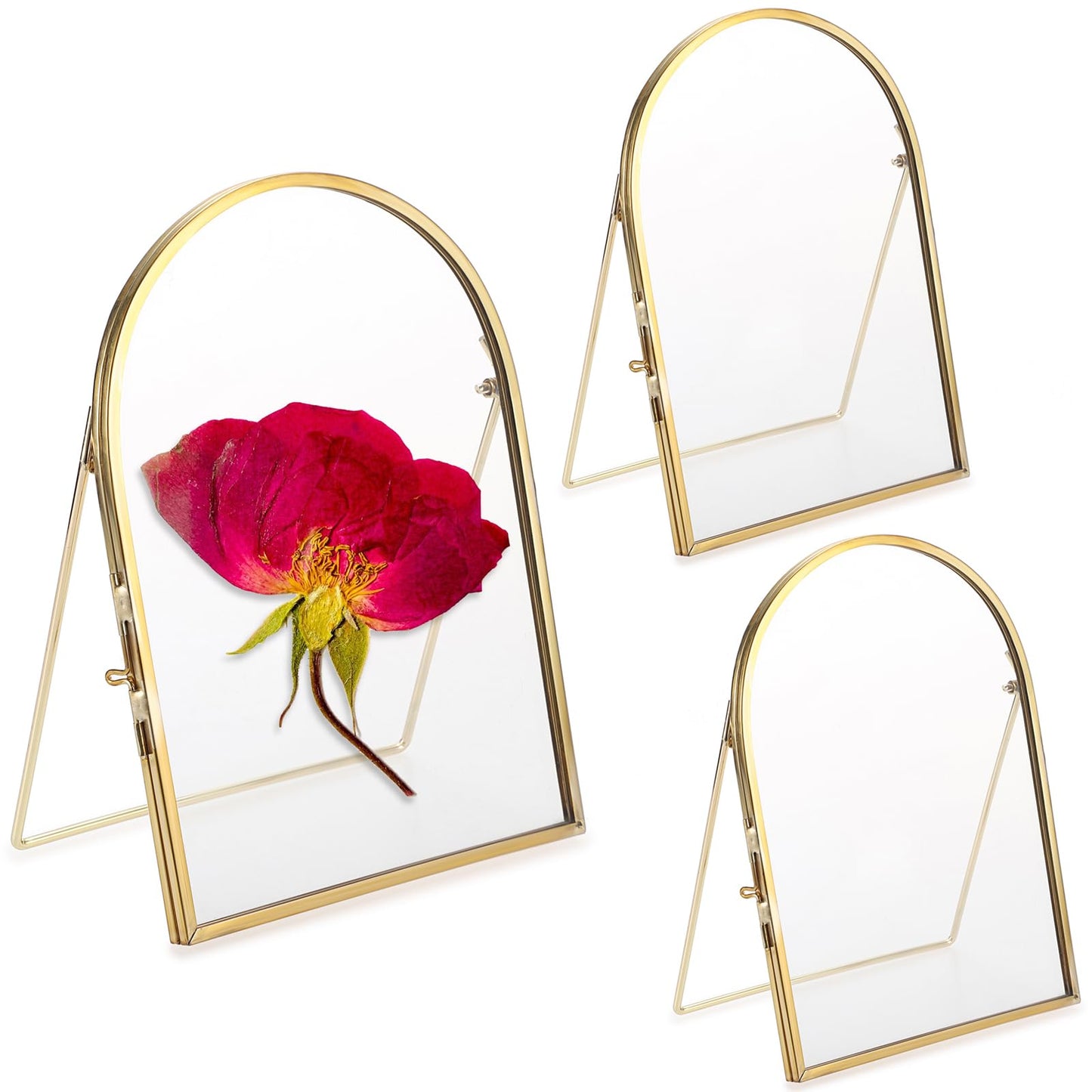 JUXYES 3 Pack Tabletop Double Glass Brass Frame for Pressed Flowers, Arch Double Sided Glass Frame Gold Floating Artwork Display Frames for Photo, Picture, Dried Pressed Flower, etc, 5x7 Inches