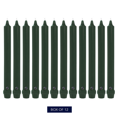 Colonial Candle Unscented Taper Candle, Classic Collection, Evergreen, 12 in, Pack of 12 - Up to 10 Hours Burn