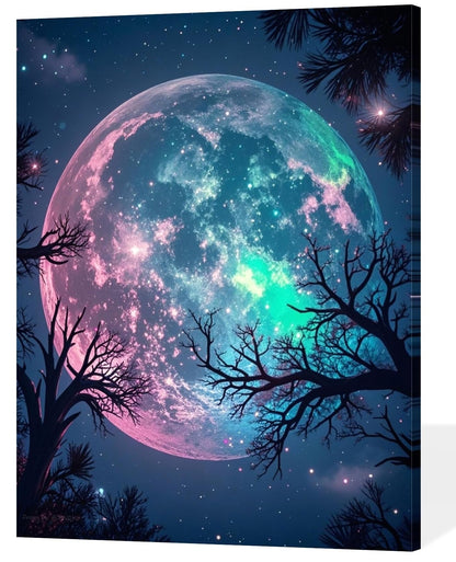 ACANDYL Moon Paint by Numbers Kit for Adults Beginner Paint by Numbers for Adults Canvas Painting by Number DIY Acrylic Oil Painting on Canvas Arts Craft Decoration 16x20 Inch