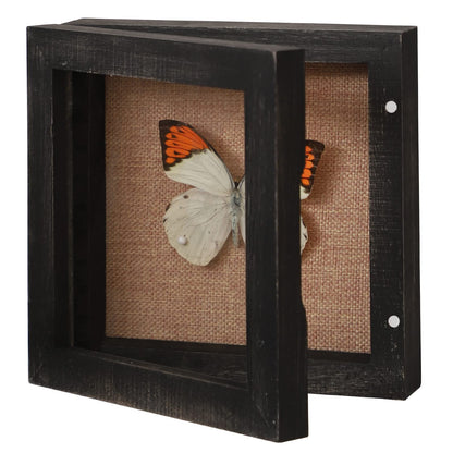 6x6 Square Shadow Box, Display Size 5x5 Shadow Box Frame with Glass, Small Display Case with Hinge and Magnetic Door for Shells Taxidermy Keepsake Photos Tickets Coins-Weathered Black