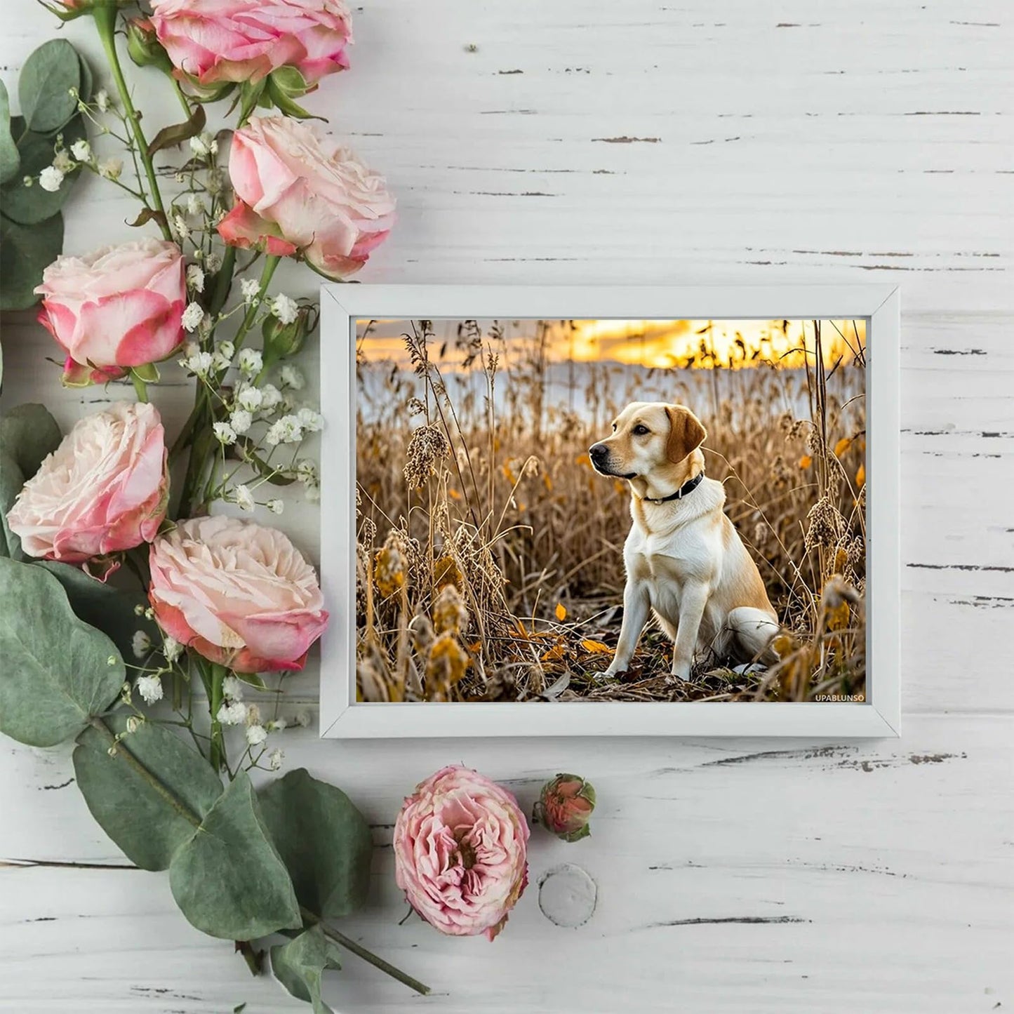 5D Diamond Art Yellow Labrador Retriever Diamond Painting DIY Kits Full Round Drill Rhinestone Crystal by Number Stitch Embroidery Arts and Crafts for Living Room Bedroom Home Wall Decor 12x16 inch