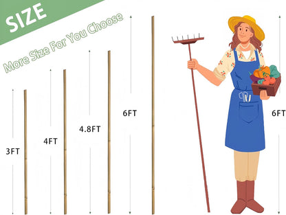 Bamboo Garden Stakes - 4 Feet Plant Support for Tomatoes, Beans, and Climbing Plants | 65 Pcs Set
