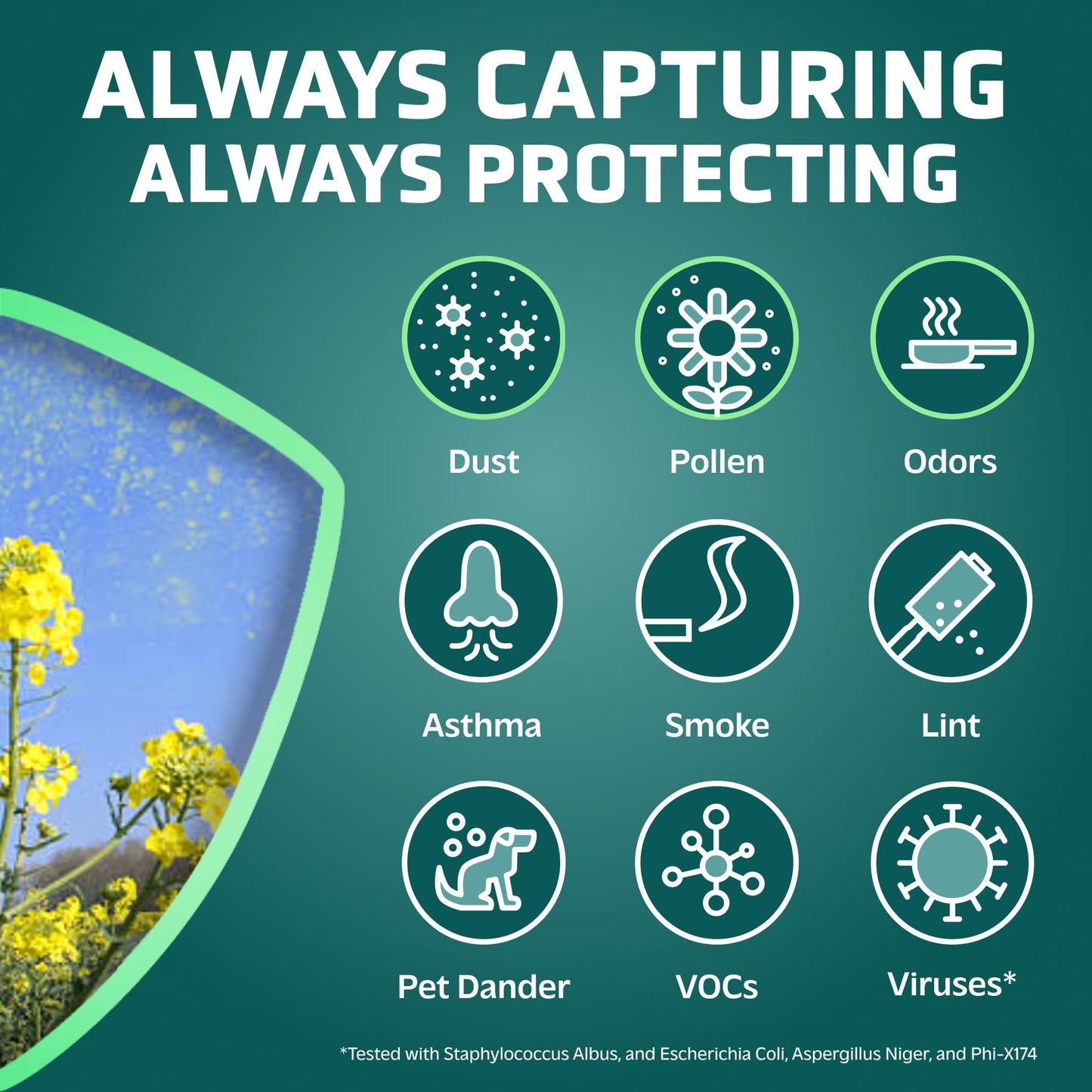 GermGuardian Filter B HEPA Pure Genuine Air Purifier Filter, Removes 99.97% of Pollutants, Wildfire Smoke, Odors, for AC4825, AC4300, AC4850, AC4880, AC4900, CDAP4500, AP2200, Black/Yellow, FLT4825