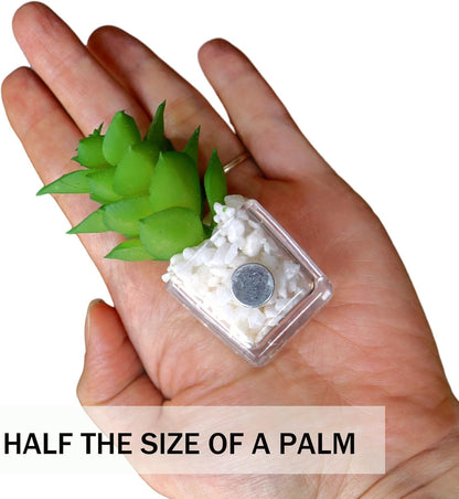 Plant Magnets for Fridge, Succulent Artificial Plants Refrigerator Magnets, Funny 3D Resin Decorative Set of 4