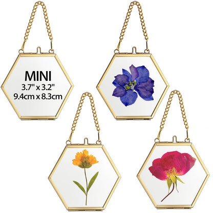 JUXYES 4 Pack Hexagon Mini Wall Hanging Brass Frames for Pressed Flowers, Double Glass Hanging Picture Artwork Display Frame, Gold Floating Style Gallery Wall Frame for Picture, Poster, etc