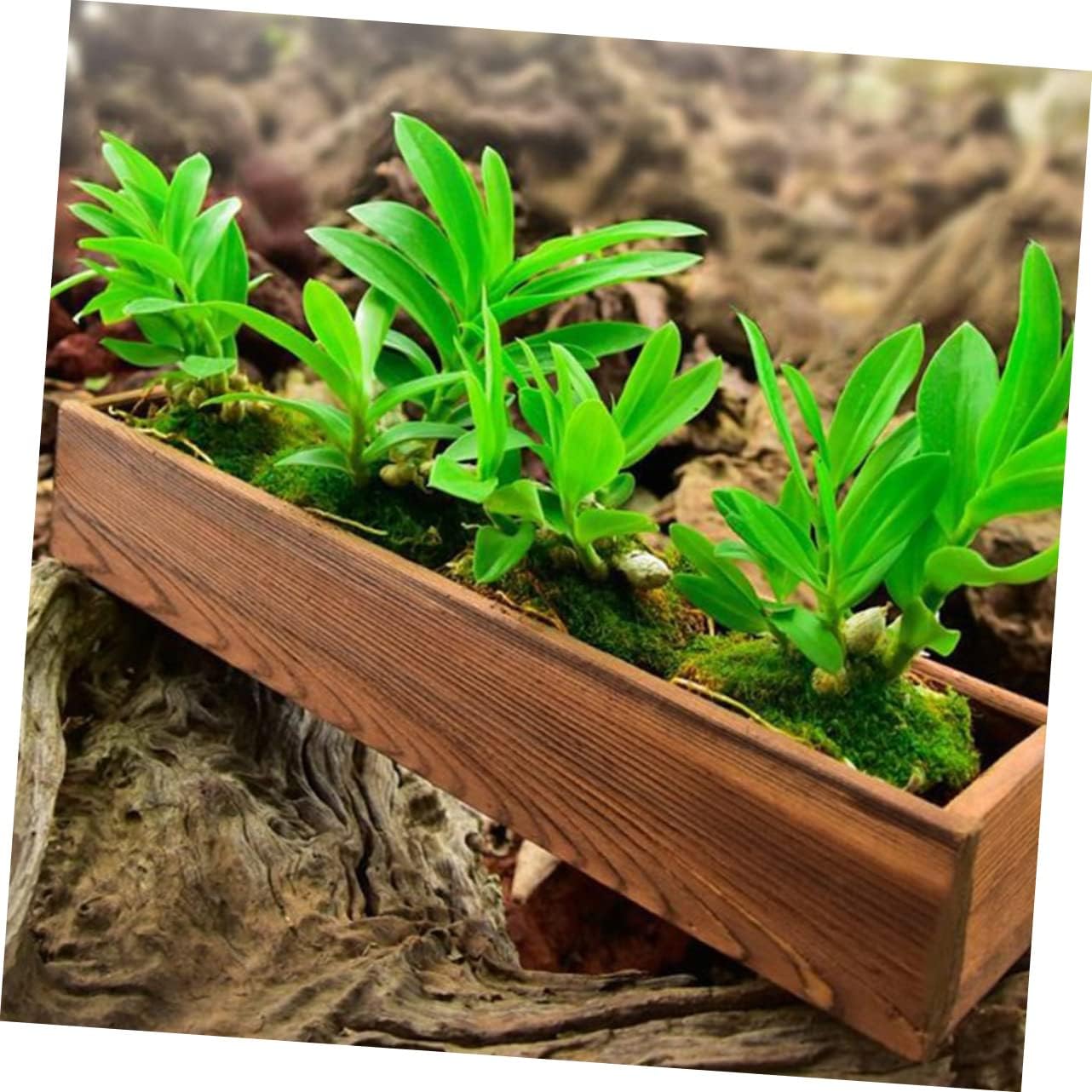 Wood Flower Box Cedar Window Boxes - Tiestos para Exterior Indoor Flower Pots for Outdoor Plants Fence Planter