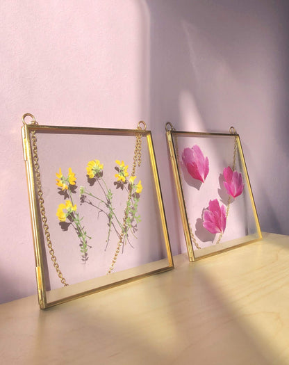 Glass Frame for Pressed Flowers, Leaf and Artwork - Hanging Gold 6x6 Square Metal Picture Frames, Clear Double Glass Floating Frame, Wall Decor Photo Display, Set of 2 Flower Press Frames with Chain