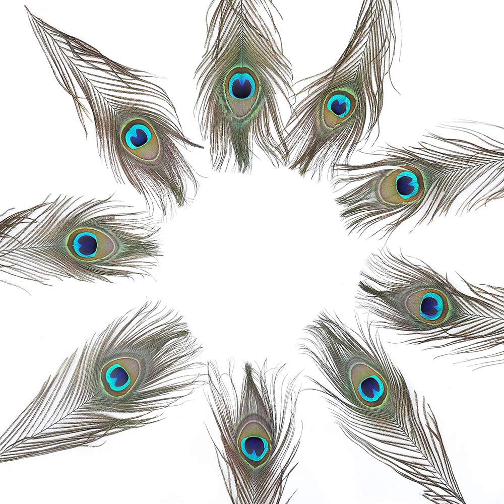 60 PCS Real Natural Peacock Eye Feathers 10-12 inch for DIY Craft, Wedding and Holiday Decorations