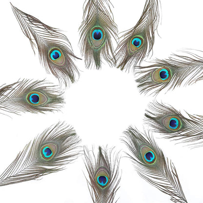 60 PCS Real Natural Peacock Eye Feathers 10-12 inch for DIY Craft, Wedding and Holiday Decorations