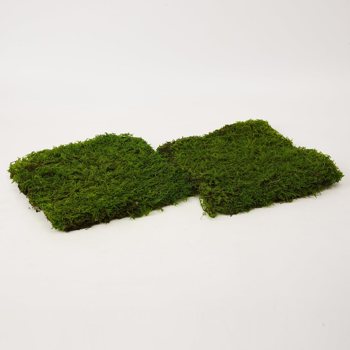 Prefleur Preserved Sheet Moss Natural Green Decorative Real Natural Green DIY Kit Gardenning Art Wall Decor Florist Decor Easter Table Decor Wedding 2 sq.ft.Green-B