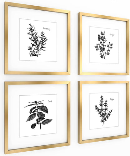 11x11inch Decor,Set 4 ArtbyHannah Gold Framed Wall Art with Herbs Plants Botanical Pictures in Gold Frames for Kitchen