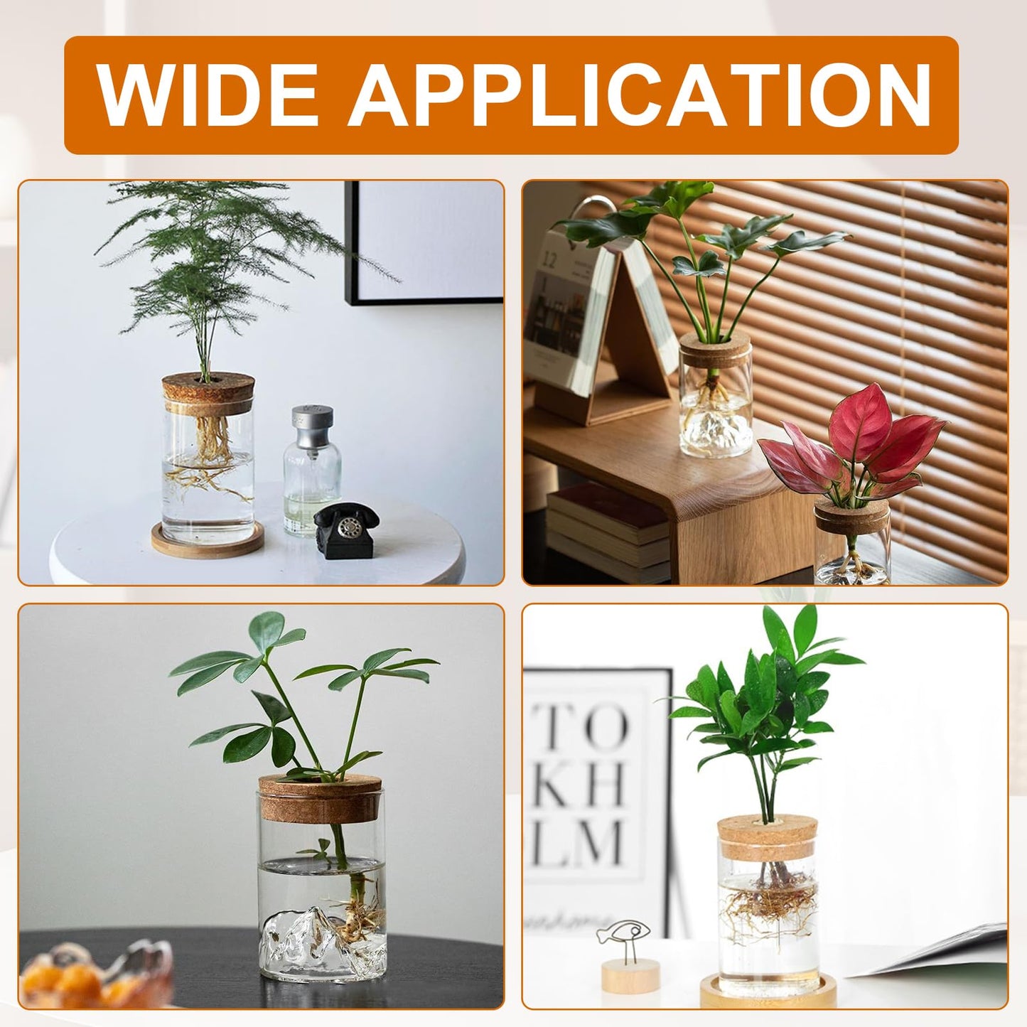 Hyuetrsa 6 Pcs Plant Propagation Terrarium Glass Propagation Vase Containers with Cork and Wooden Saucer for Hydroponic Plants Tabletop Decoration Jars for Plants (2.56 x 4 Inch)
