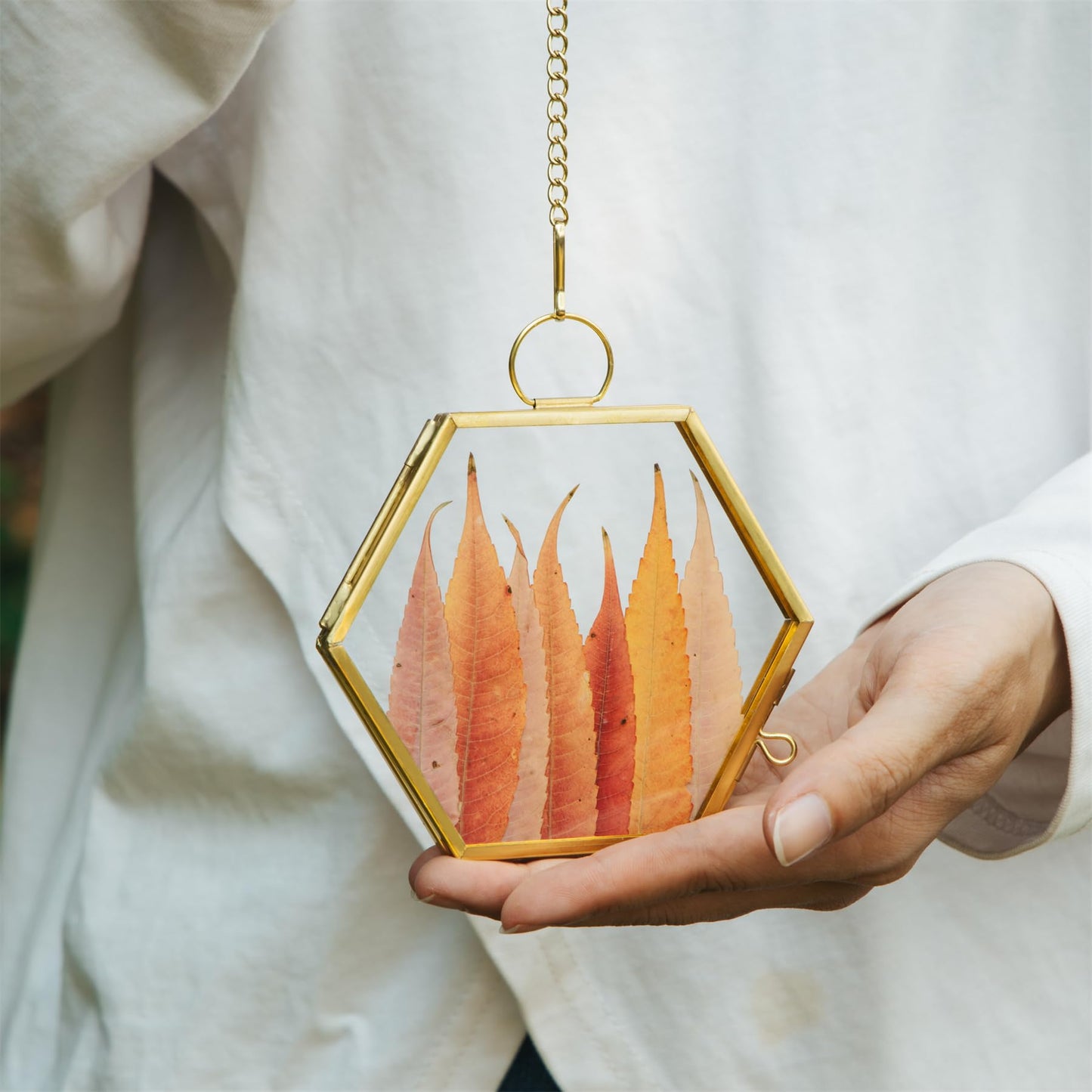 NCYP Mini Glass Floating Frame for Dried Flowers Plants, Photo - Side length 1.9 Inches - Wall Hanging Vertical Decor, Small Double Specimen Clip, Gold Hexagon (Glass Frame Only)