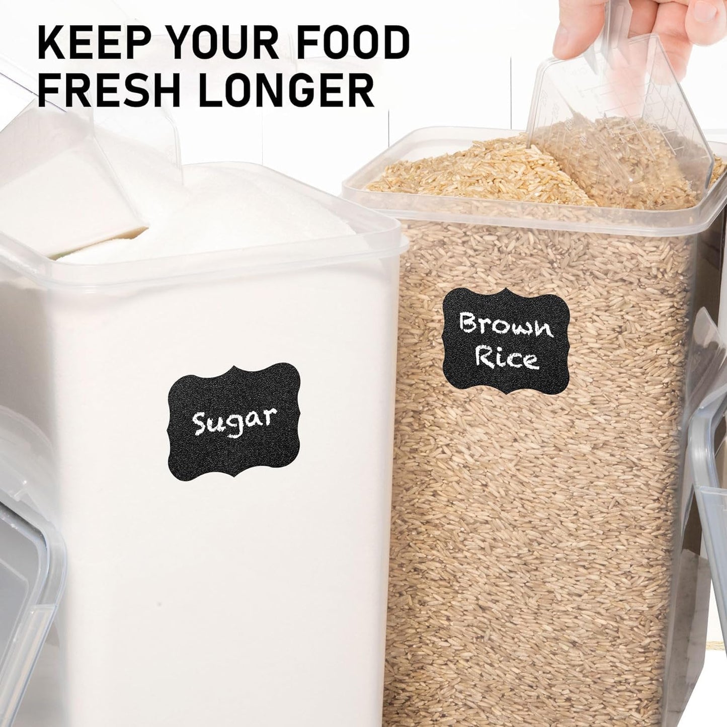 8.5L/287Oz (2 WHITE FEATHER SUPPLIES Extra Large Airtight Food Storage Containers PC) with Lids, Kitchen and Pantry