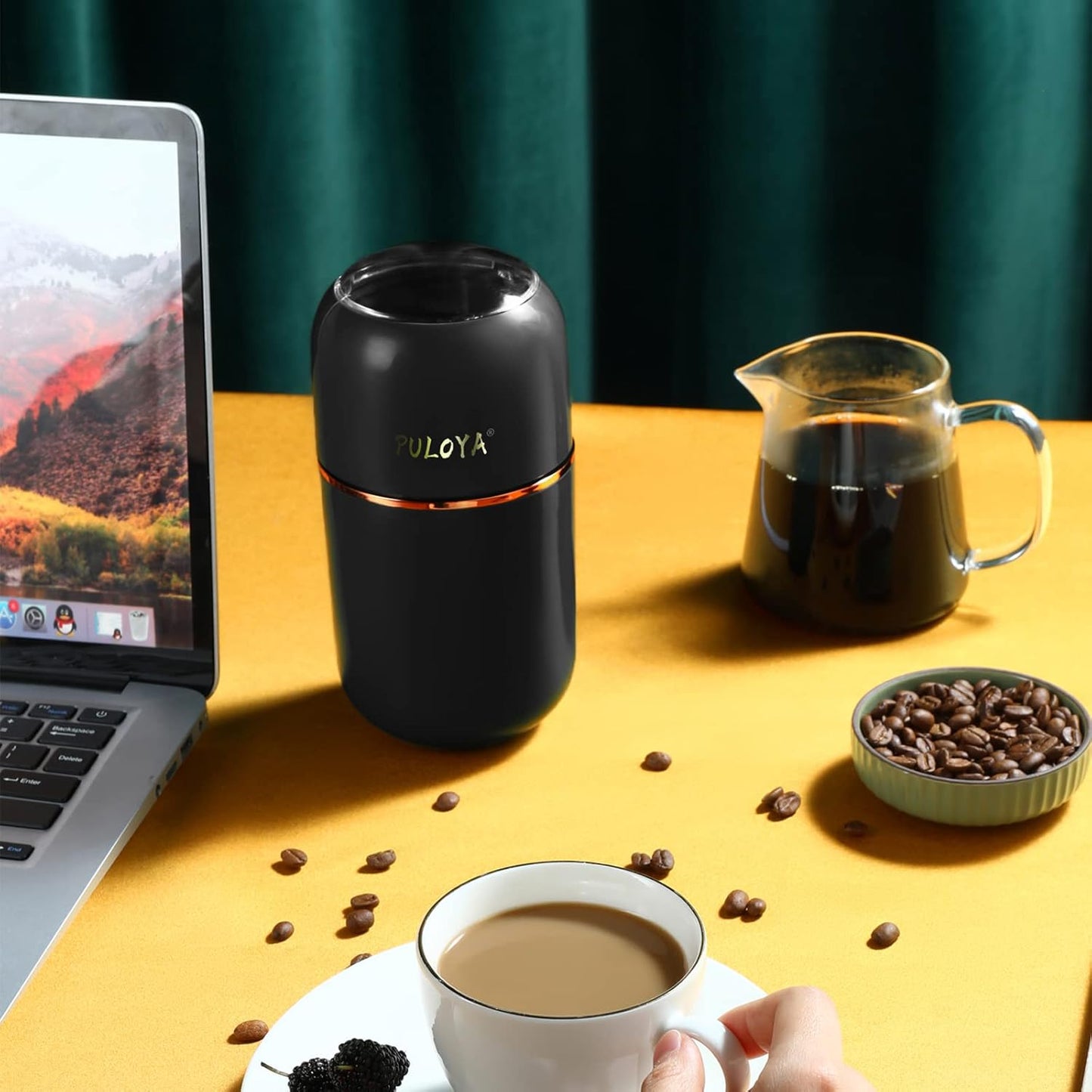 Electric Coffee Grinder for Beans, Spices, Herbs, Grains, Nuts - 2.8 oz, Stainless Steel Blades, Black