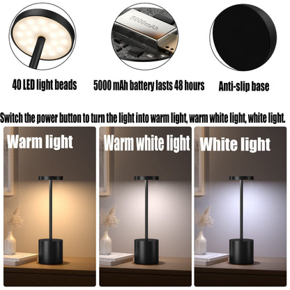 YIBEN 2Pack Cordless Table Lamp, Rechargeable LED Battery 5000mAh Metal USB Portable Powered Desk Lamp, 3 Levels Brightness Light for Restaurants Outdoor (2pack 10.25in Titanium)