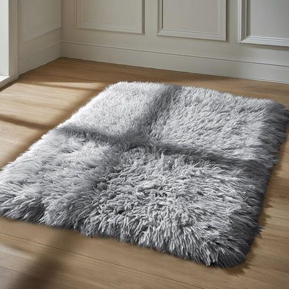 IR Imperial Rooms 4x6 Feet Grey Luxury Area Rug, Soft Fluffy Shaggy Carpet for Living Room, Non-Slip Home Decor