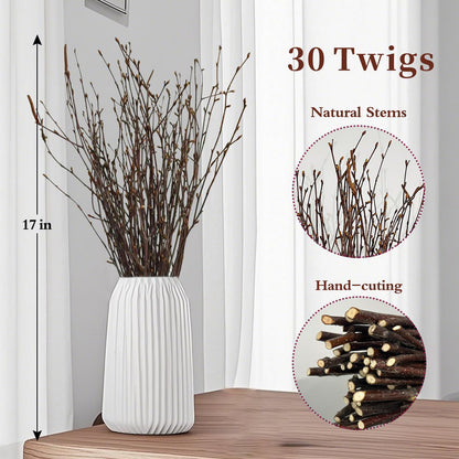 17 Inch Natural Birch Branches Dried Birch Twigs Wreath Making Supplies Dried Plants for Rustic Home Decor Easter Stems Vase Filler DIY Crafts Vases Tall Wreath Christmas Decoration Wedding (30Pcs)
