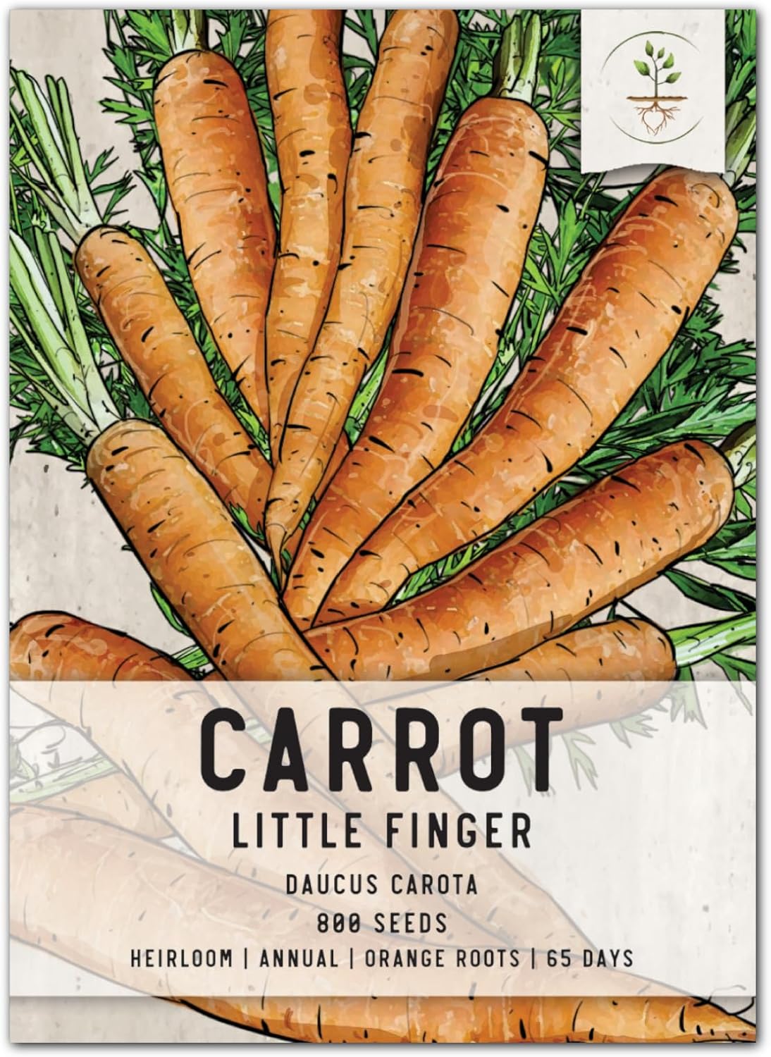 (1 Pack) Seed Needs Carrot Seeds for Planting Little Finger Carrots - Non-GMO Heirloom & Untreated Vegetable Seeds