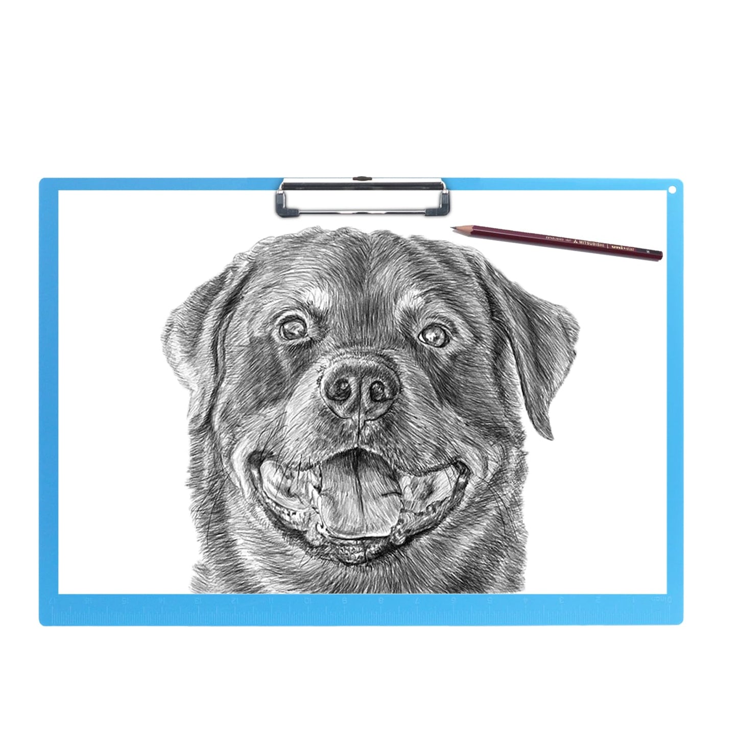 Acocony 11x17 Clipboard with Ruler Extra Large Clipboard Landscape Low Profile Clip 11 x 17 Clipping Board Plastic Blue Pack of 1