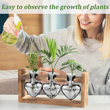 (3 Lifecapido Heart Shaped Propagation Stations, Plant Terrarium with Wooden Stand, Plant Propagation Station