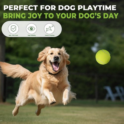 INSUM 30 Pack Bulk Tennis Balls – High Elasticity Practice Tennis Balls with Mesh Bags, Portable for Pet Dog Outdoor Playing, Training, Fetching