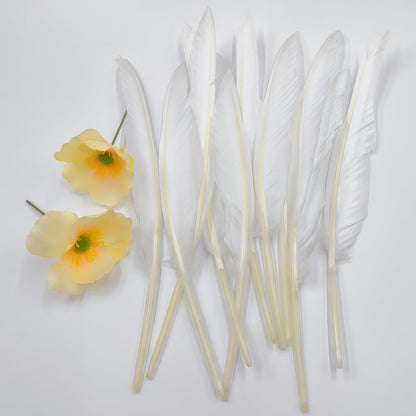 Natural Goose Feathers,Bulk 50 pcs Long 10-12Inch (25-30cm) White Feathers for Crafts,Mardi Gras Decorations,Angel Wings,DIY Handicrafts,Feather Decoration Accessories (Pure White)