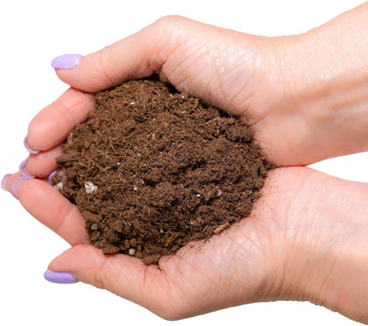 [2 Gardenera's Award-Winning Lemon Tree Soil Mix: The Ideal Choice for Healthy, Productive Citrus Trees - Quart Bag]