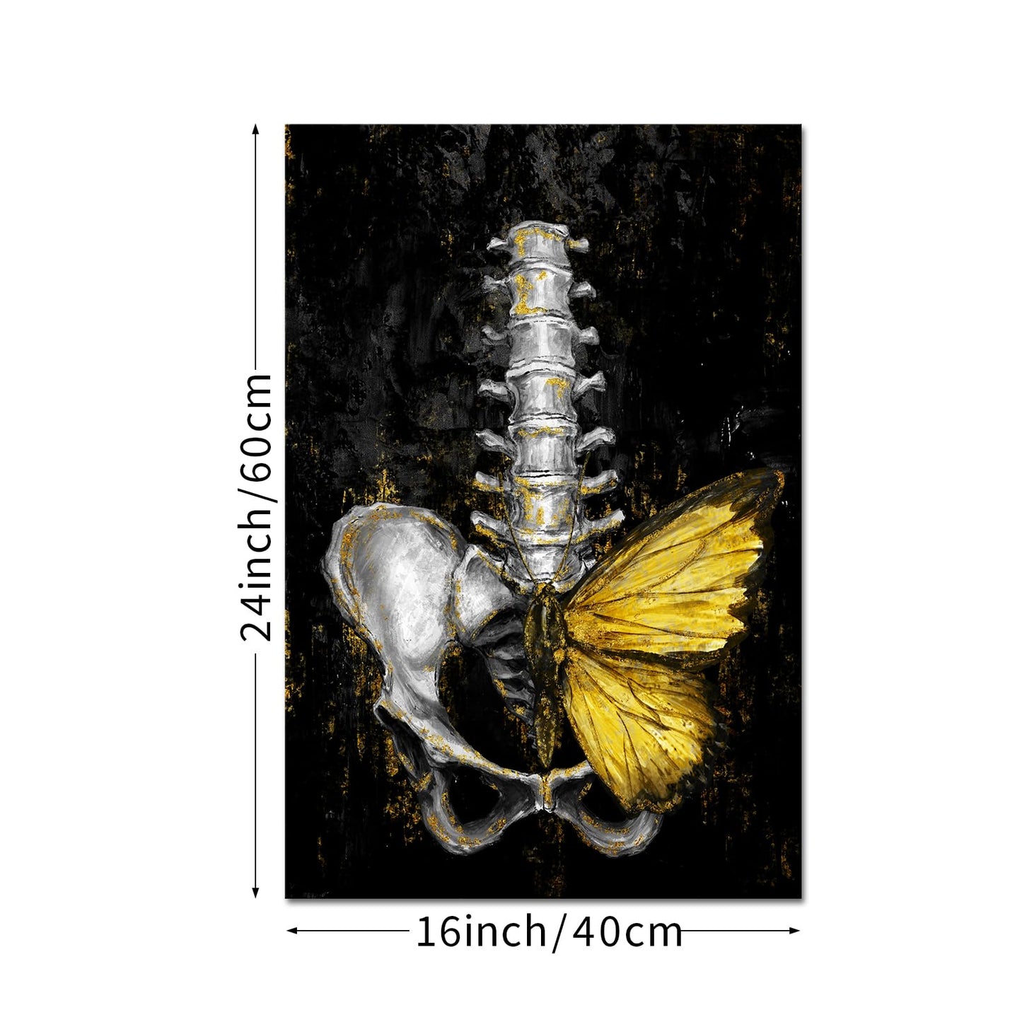 iKNOW FOTO Anatomical Spine Wall Art with Gold Butterfly 16x24 Inch Medical Skeleton Canvas Print for Doctor Office Nurse Station Physical Therapy Clinic Decor Ready to Hang