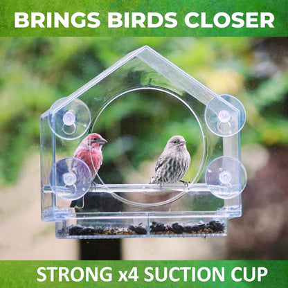 Window Bird Feeders with Strong Suction Cups - Clear Feeders for Outside, Easy to Clean, Perfect for Garden Viewing