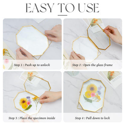 REDHUGO Glass Pressed Flower Frame Handmade, Metal Floating Picture Frame, Double Glass for Tabletop Display, Unique Brass Octagon, Gold, 5x7 Inches (Frame Only)
